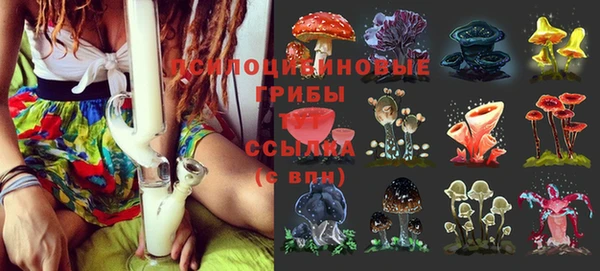 круглые Нягань