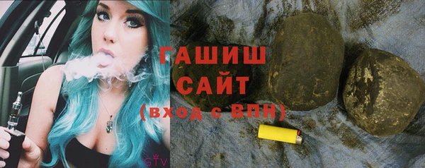 шишки Павловск
