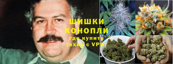 круглые Нягань