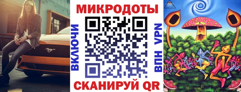 Псилоцибиновые грибы Psilocybine cubensis  Тобольск 