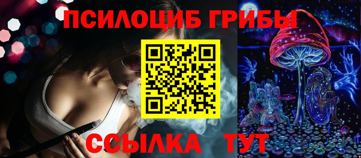 Псилоцибиновые грибы мицелий  где купить наркотик  Вход с VPN  Тобольск  Галлюциногенные грибы Psilocybe 